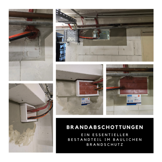 bf1LMyVYSA4AcHGIMm9lX8JCNZEoABAgQAAQAA